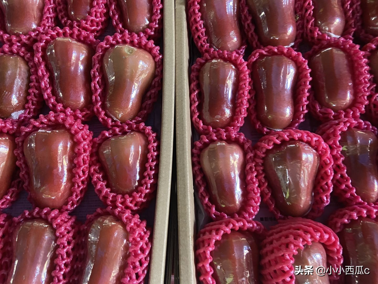 海南海口最大的水果批发市场,海口南北水果批发市场今日行情