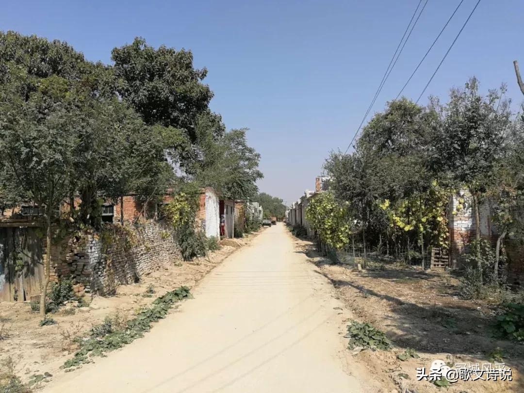 冠县贾镇高庄铺村,冠县乡韵北馆陶宗屯村