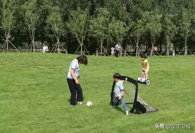 沈阳踢球的地方,沈阳有踢足球的地方吗