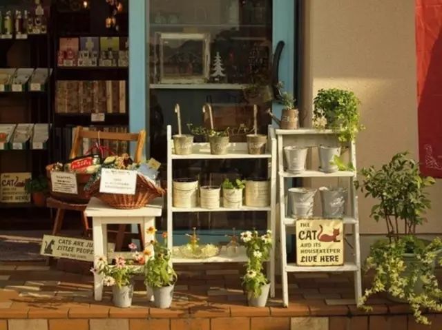 新手如何开一家网上花店,如何开一个小型的花店赚钱