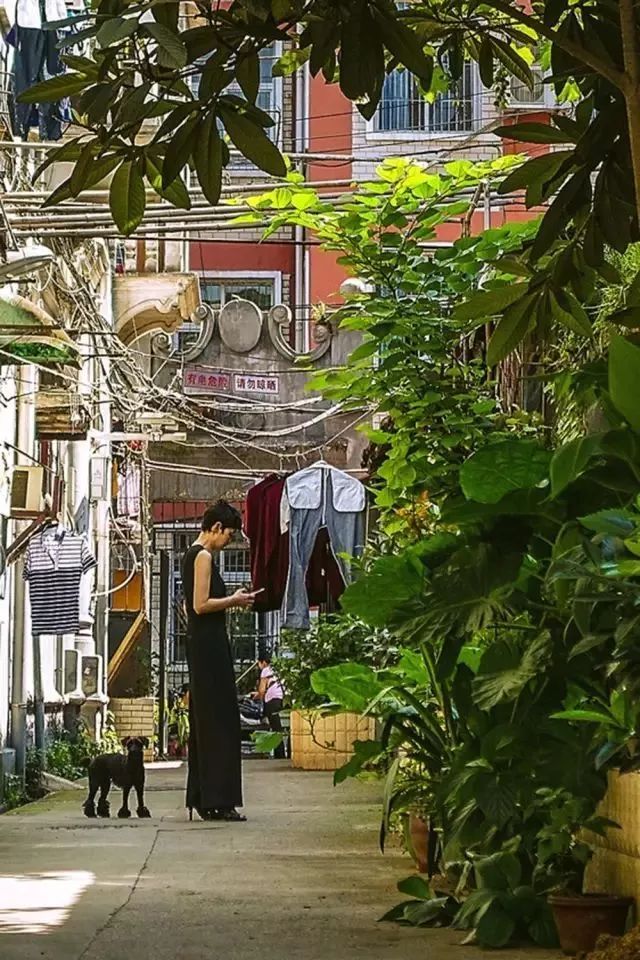 在武汉生活的100条“*规则潜**”，正宗的武汉人也未必知道