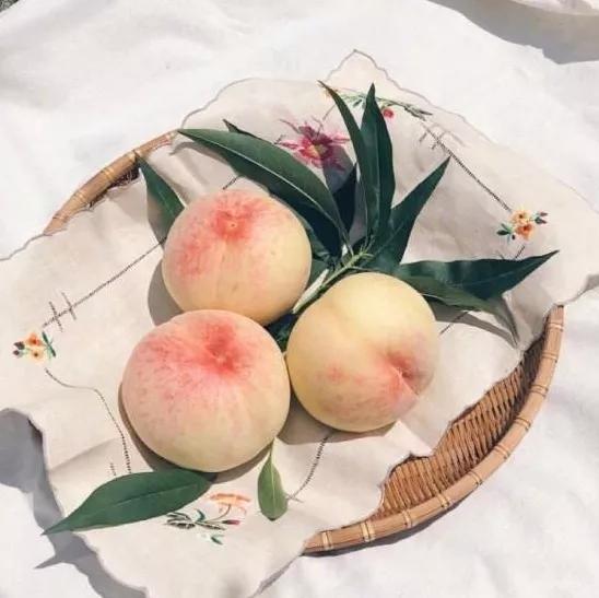 快买了这只口红来人间水蜜桃学院报道！