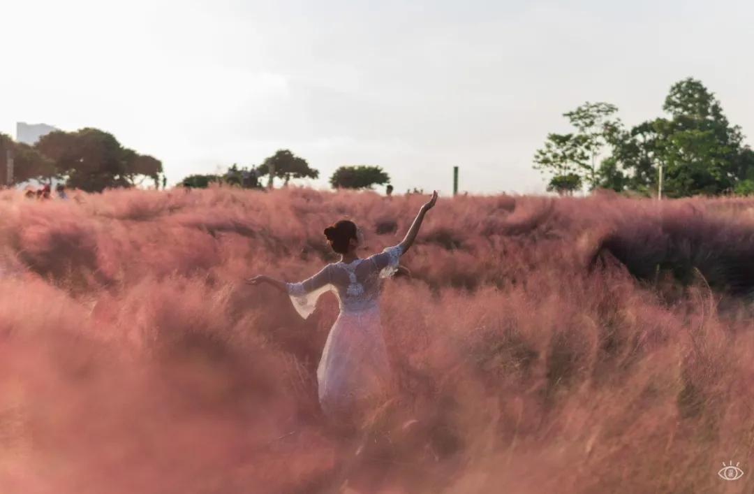 6号线都有什么景点,六号线能去的免费景点