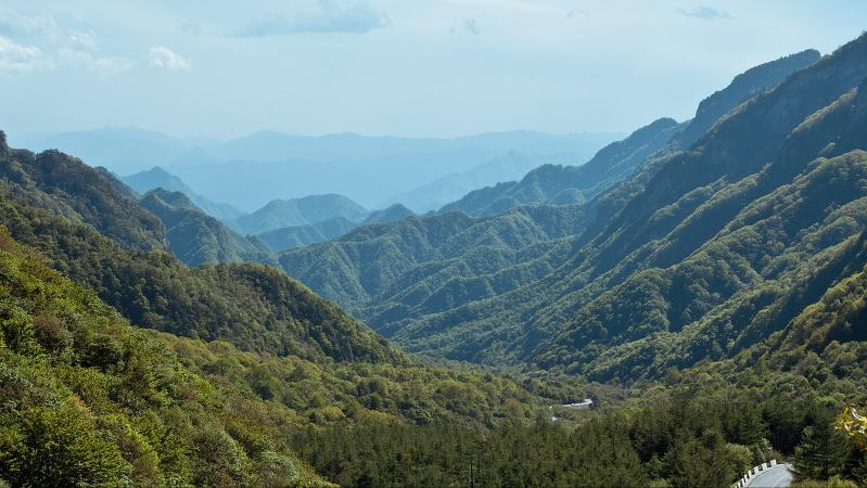 河南发现大型金矿价值超百亿,河南发现特大型金矿大概多少元