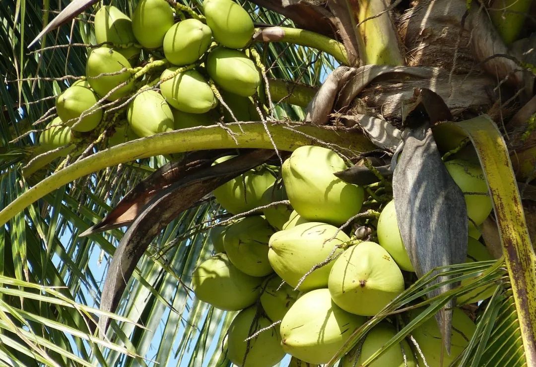 鲁滨逊漂流记荒岛生存指南,鲁滨逊漂流记惊险刺激及求生方法