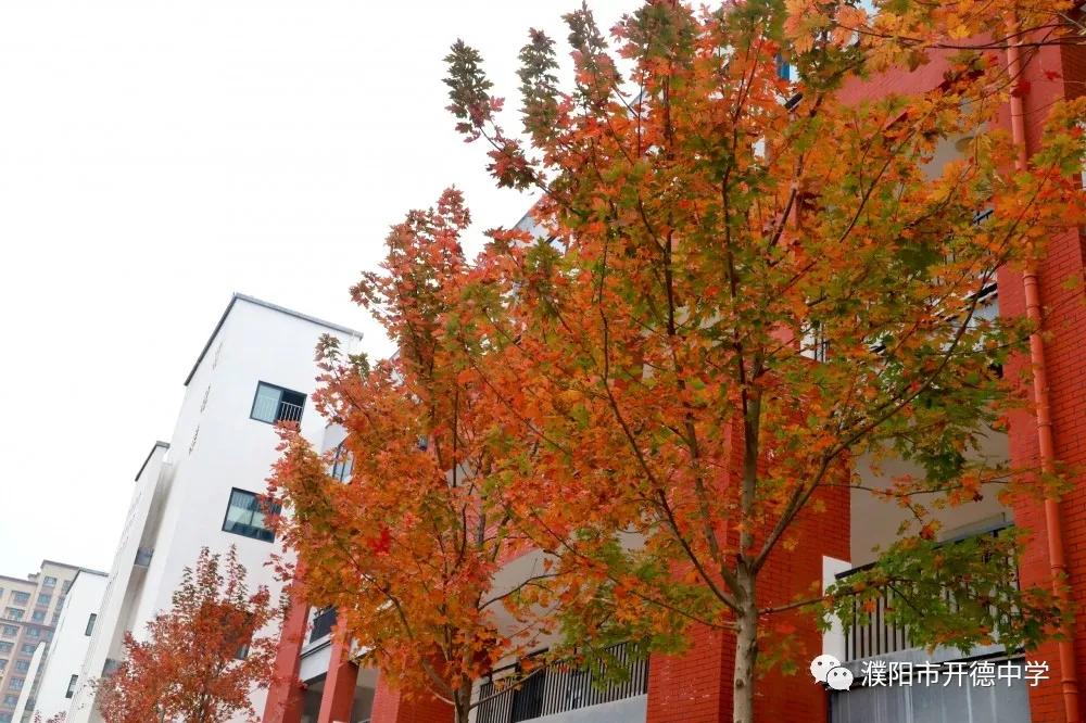 濮阳市开德中学图片,濮阳华龙区开德中学