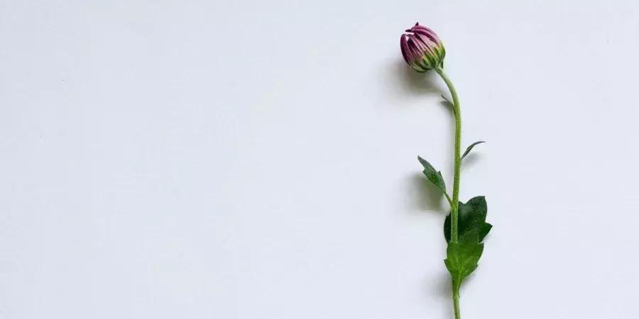 大学生的血泪控诉:不要再叫我搬寝室了