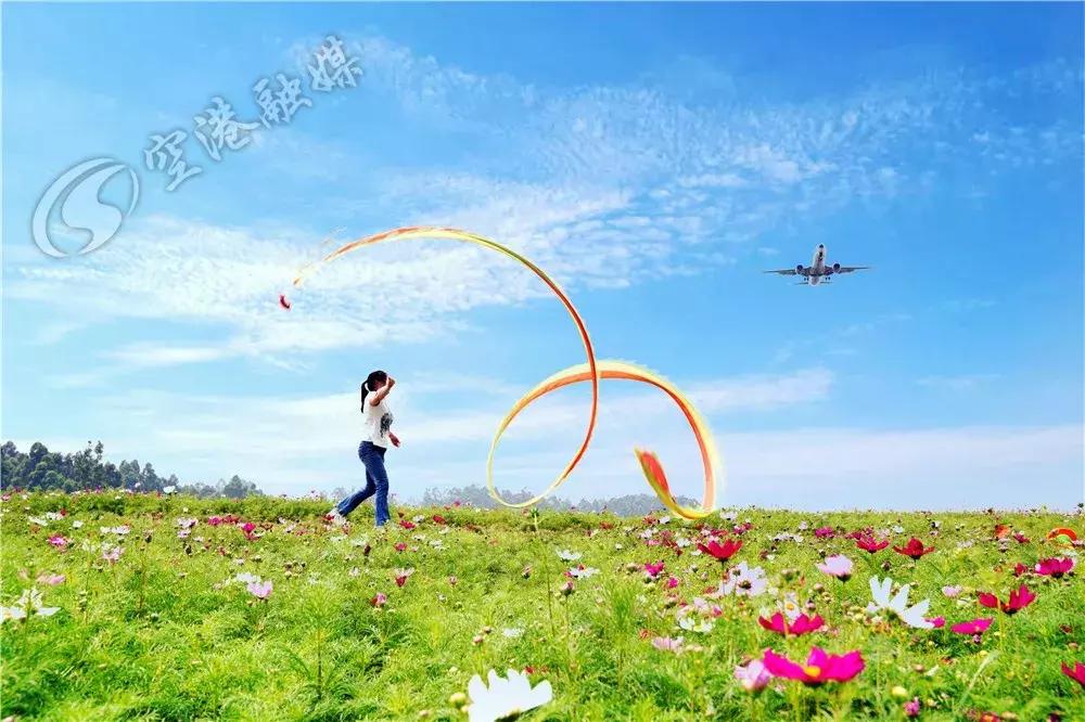 双流哪里可以赏花看飞机,双流附近赏花攻略路线