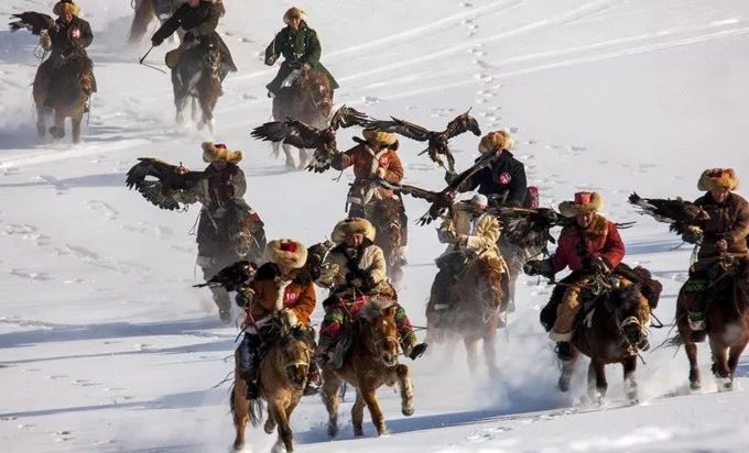 *疆新**阿合奇县：相守4000年的约定，委屈了自己，也不能饿着鹰