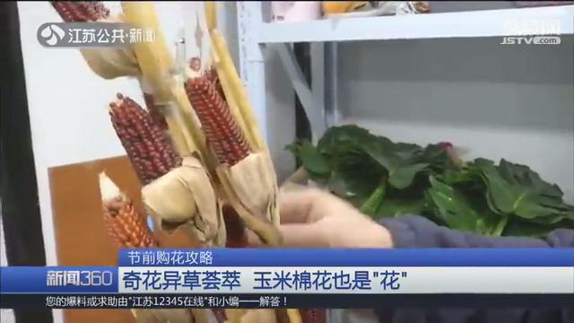 玫瑰一元、百合两元！探访南京最大花市鲜花卖出“白菜价”