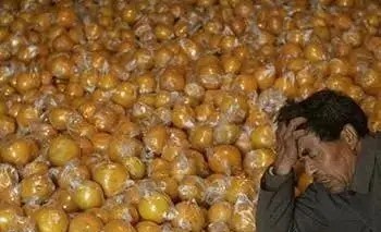 采购过程中以次充好弄虚作假,农户掺假怎么处理