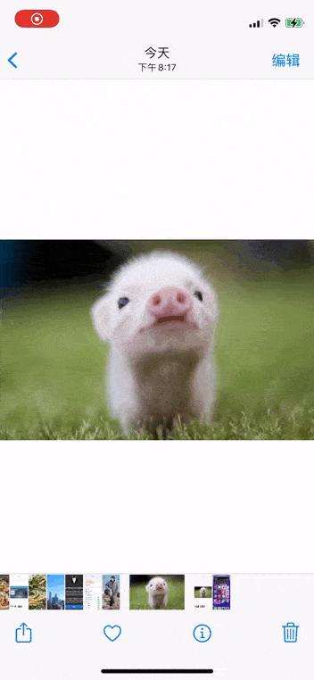 用了五年的iphone11,iphone相册总结