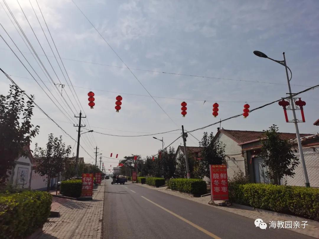 秋日好时光冬枣采摘,带着愉悦的心情踏上了冬枣采摘园