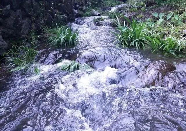 手竿活虾钓鳜鱼的技巧,手竿泥鳅钓鳜鱼怎么钓