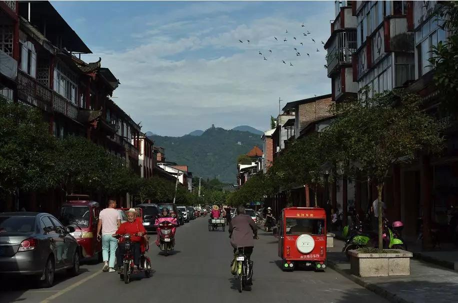 青城山熊猫谷都江堰一日游攻略,熊猫谷青城山都江堰一日游攻略