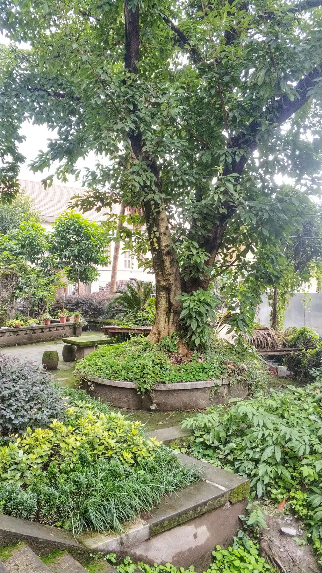 谍战公馆,谍战重庆