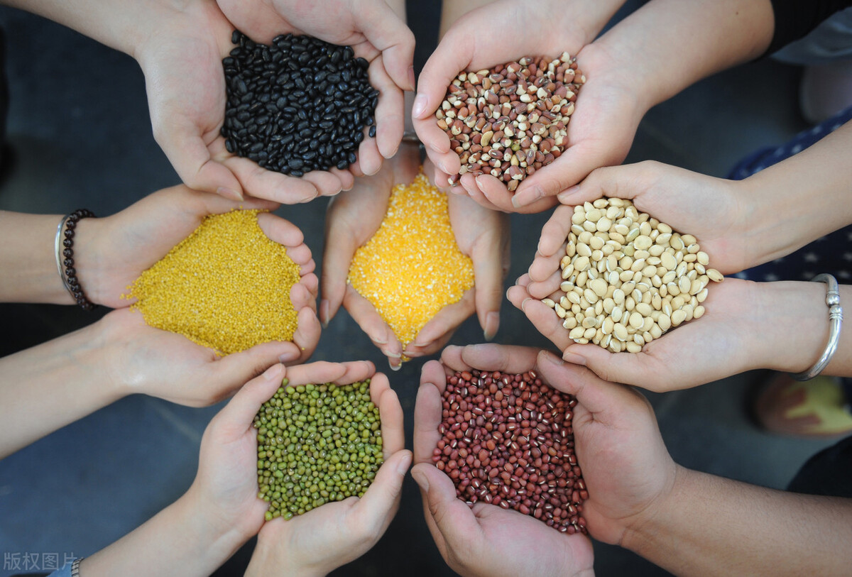 饮食要均衡营养要全面饭量要适当,孕妇在怀孕期间吃什么比较好