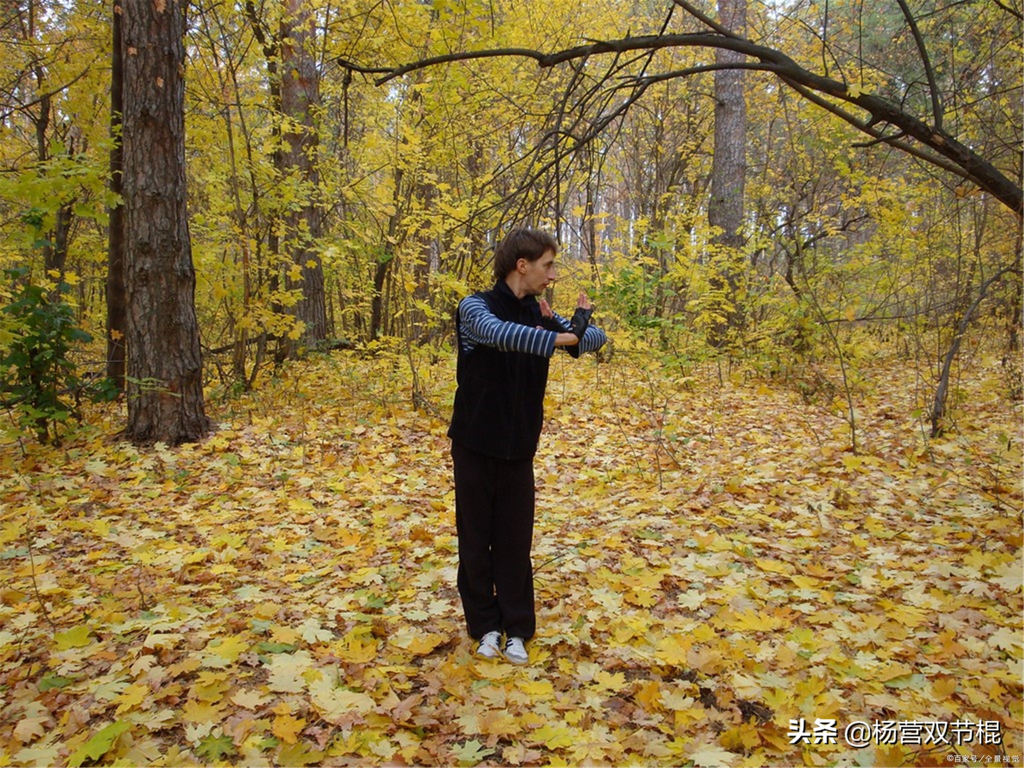 如何看待中国的武术,怎么看待中国传统文化和西方文化