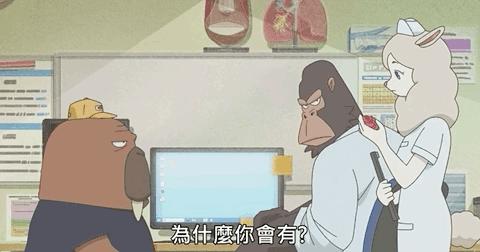 黑马新番推荐，这才是成年人该看的动漫