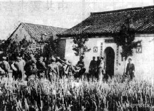 三五九旅斗争史,三五支队电视剧