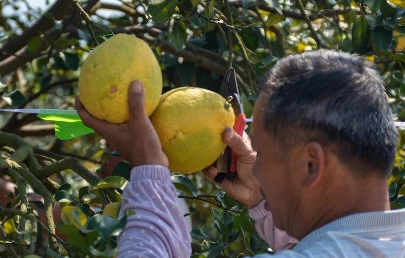 大阳150踏板摩旅进藏,大阳adv150长途摩旅西藏