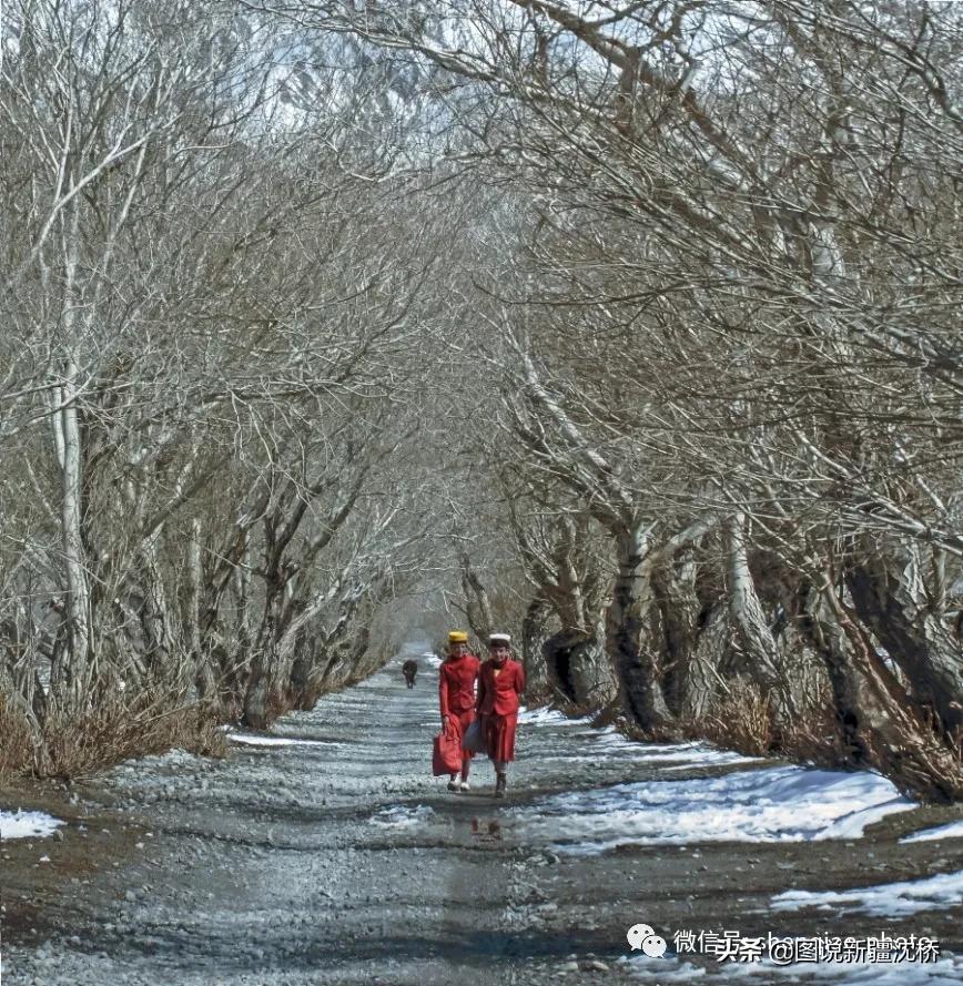 帕米尔高原的春天图片,帕米尔高原的微笑