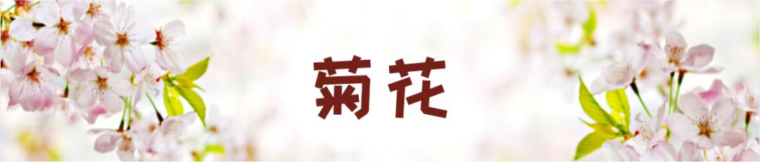 在云南，做一个“花吃”，挺好