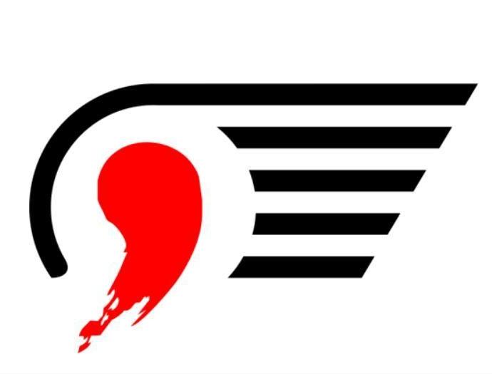 企业队名已成过去致敬那些曾经支撑武汉职业足球的企业