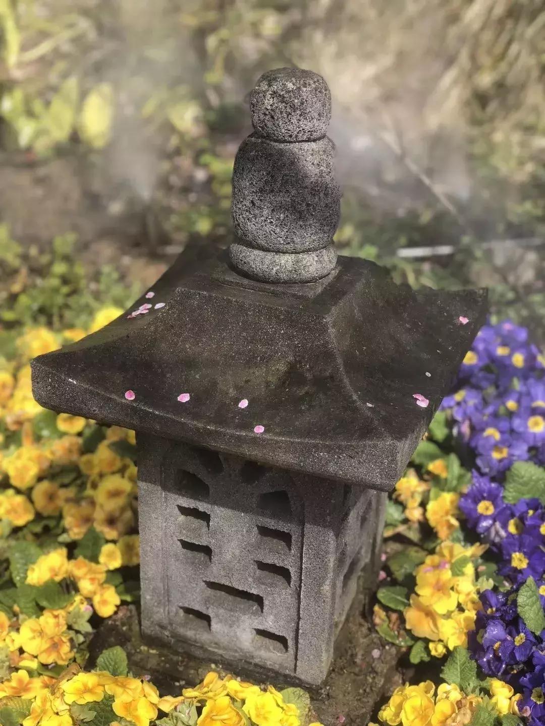 今天是中国的节日,今天是中国传统节日