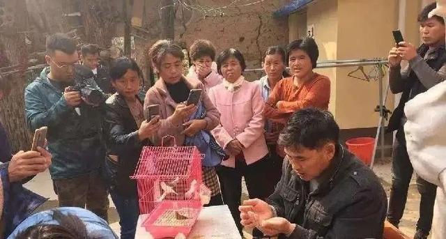 大衣哥朱之文的境遇,大衣哥朱之文聪明之处