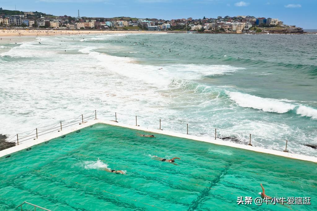 悉尼7日游自由行攻略,澳洲阿德莱德旅游攻略