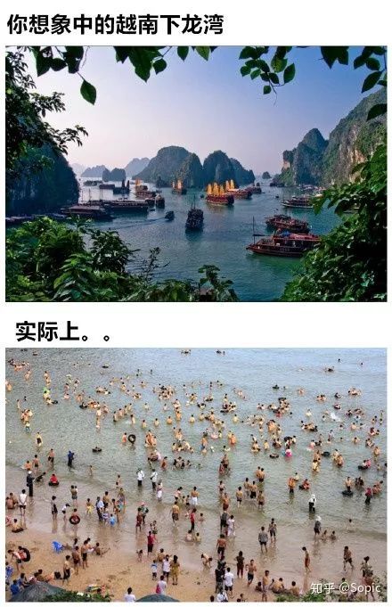 tiffany8万的钢丝球,tiffany钢丝球为啥这么贵