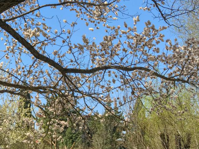 内蒙古的“土豪”大学,是一所省部共建高校,校园风景四季美如画