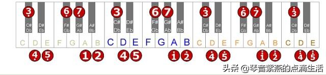 电子琴母亲0基础指法,学习电子琴音阶指法