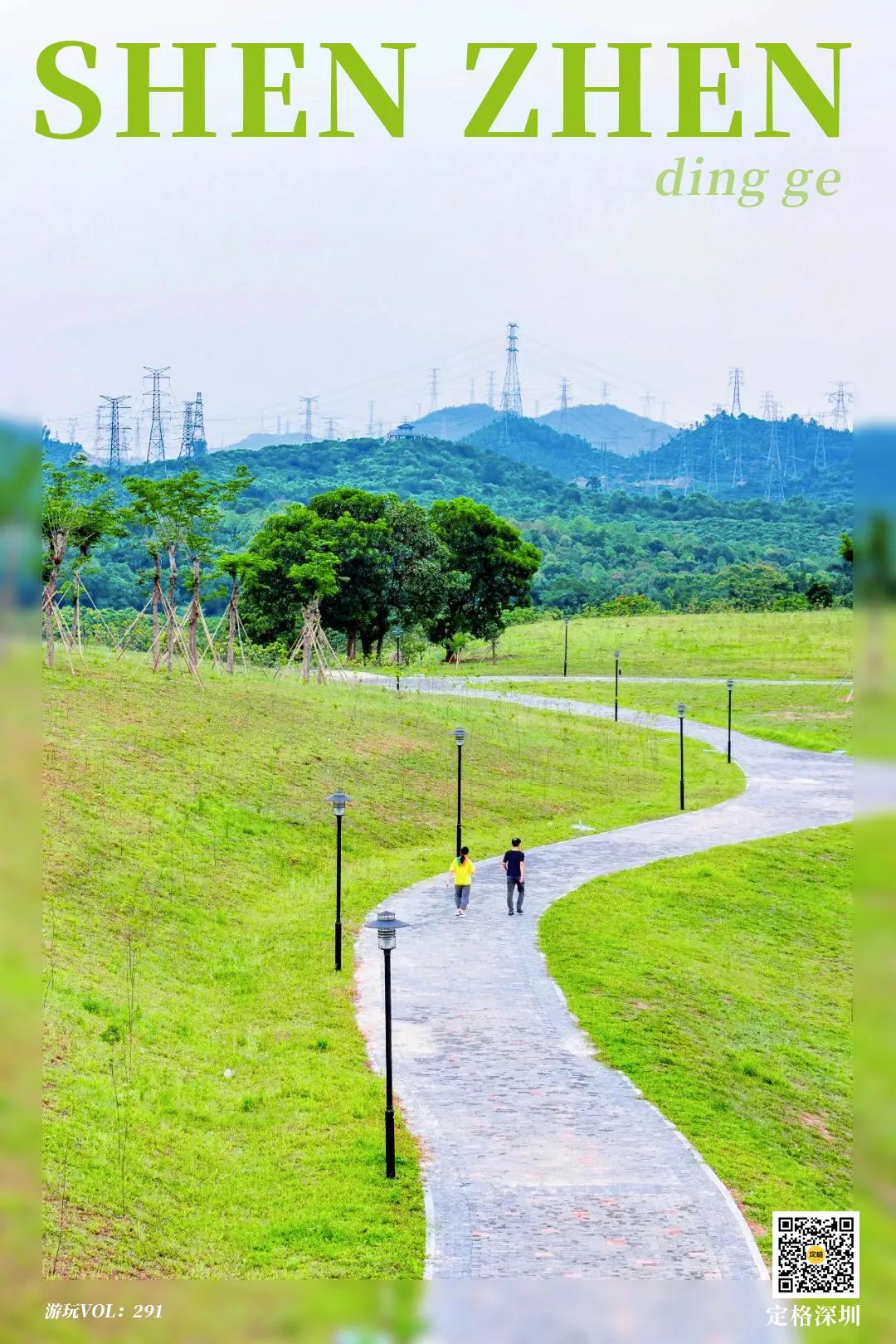 深圳这10条绿道你去过没,深圳十大绿道排行榜