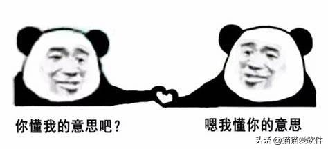 常用网站都有哪些,超实用的五大必备网站有哪些