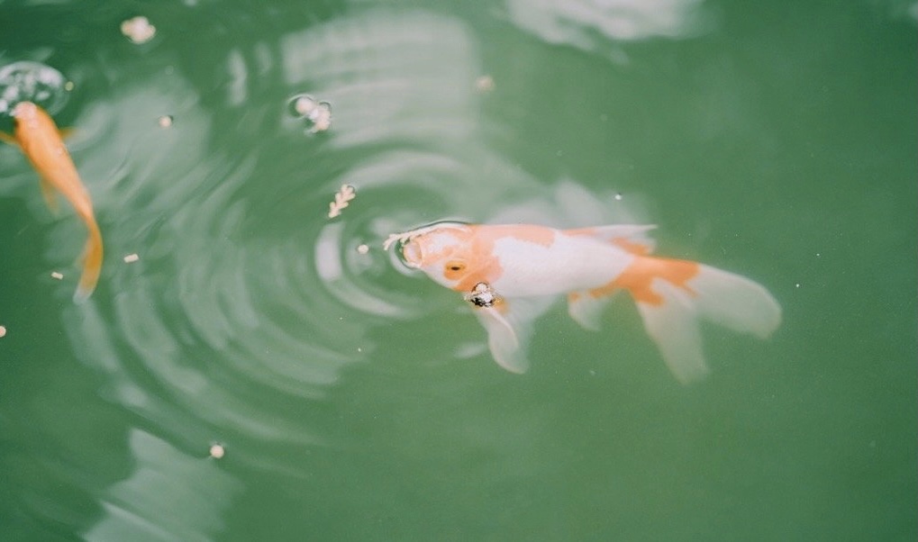 西安大雁塔值得玩么,西安五天四夜旅游攻略大雁塔