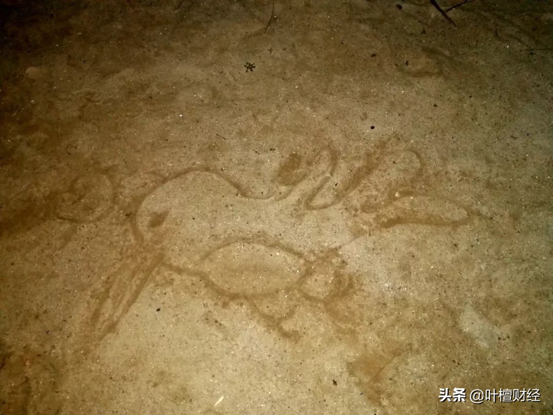 怒怼第三方催债,霸气回怼第三者