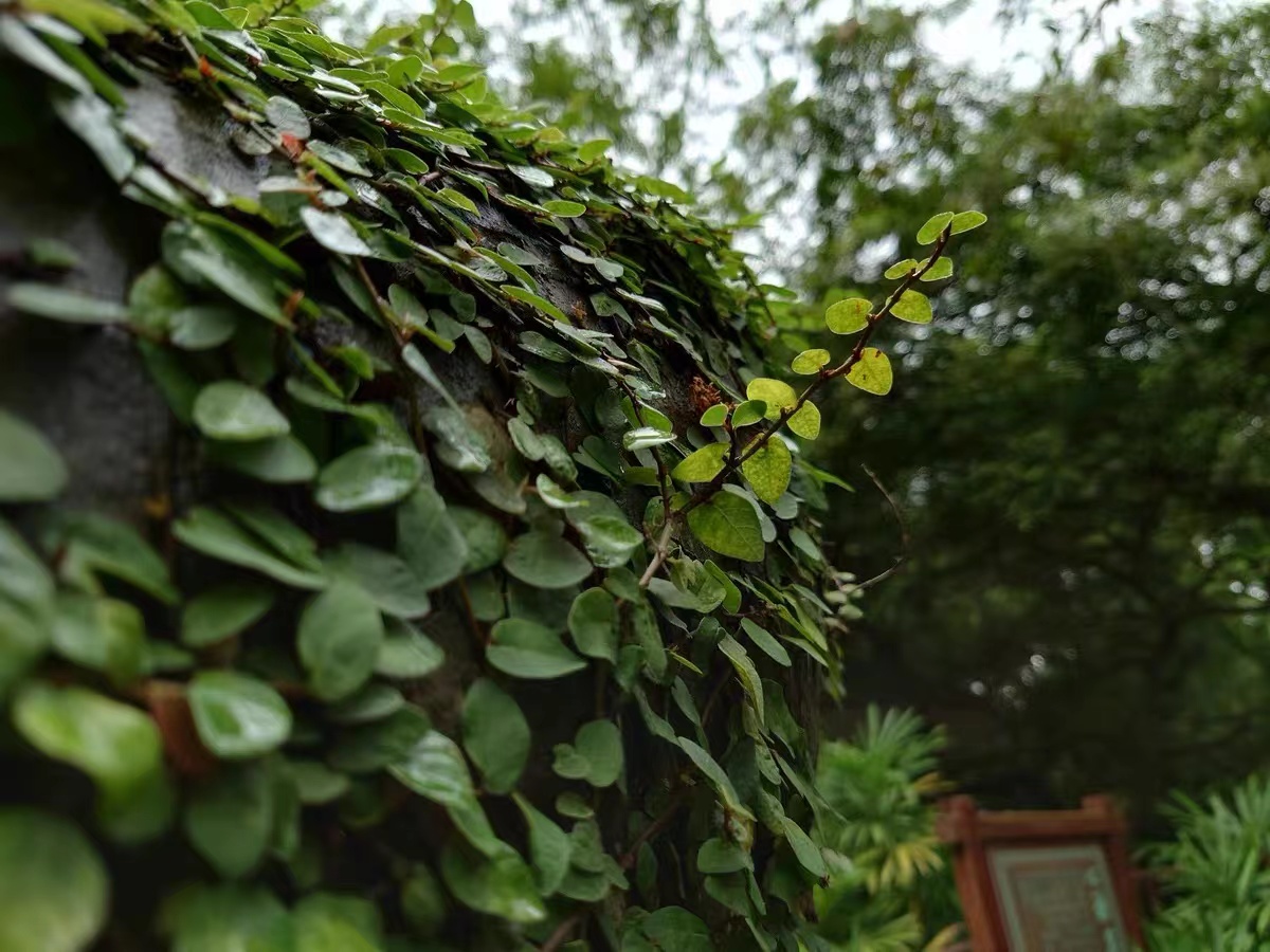 索尼xp1iv值得购买吗,索尼xp1iii值得买吗