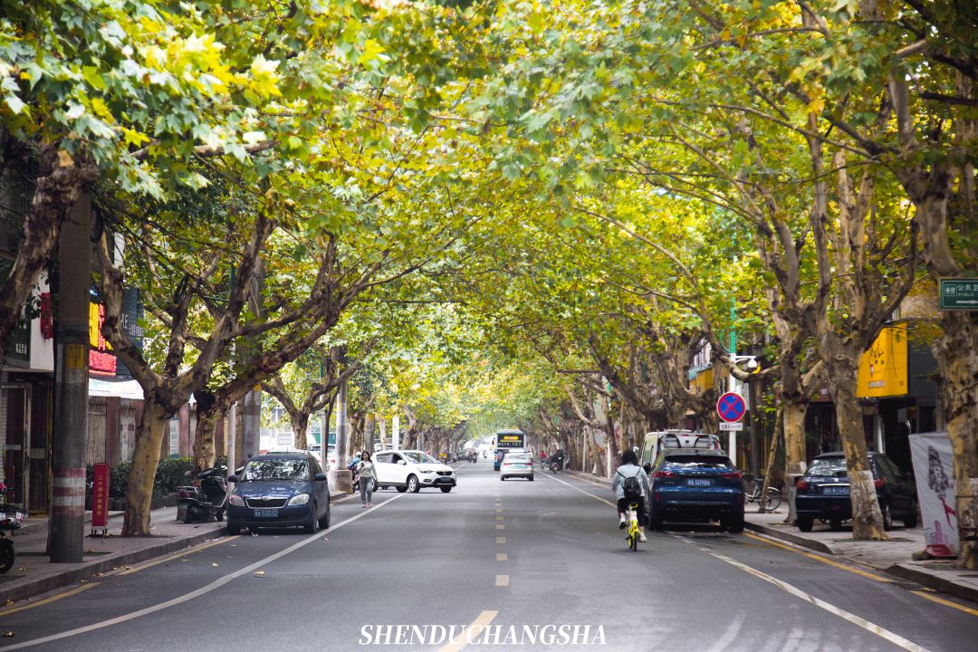 来长沙必打卡的美食一条街,长沙藏在小巷里的高质量美食