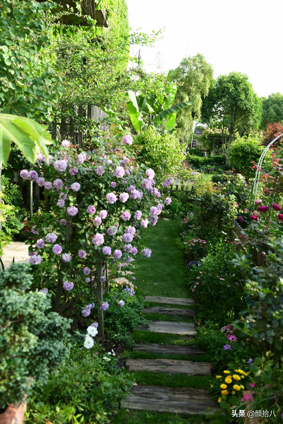 愿时光静止,愿时光静止在这一刻