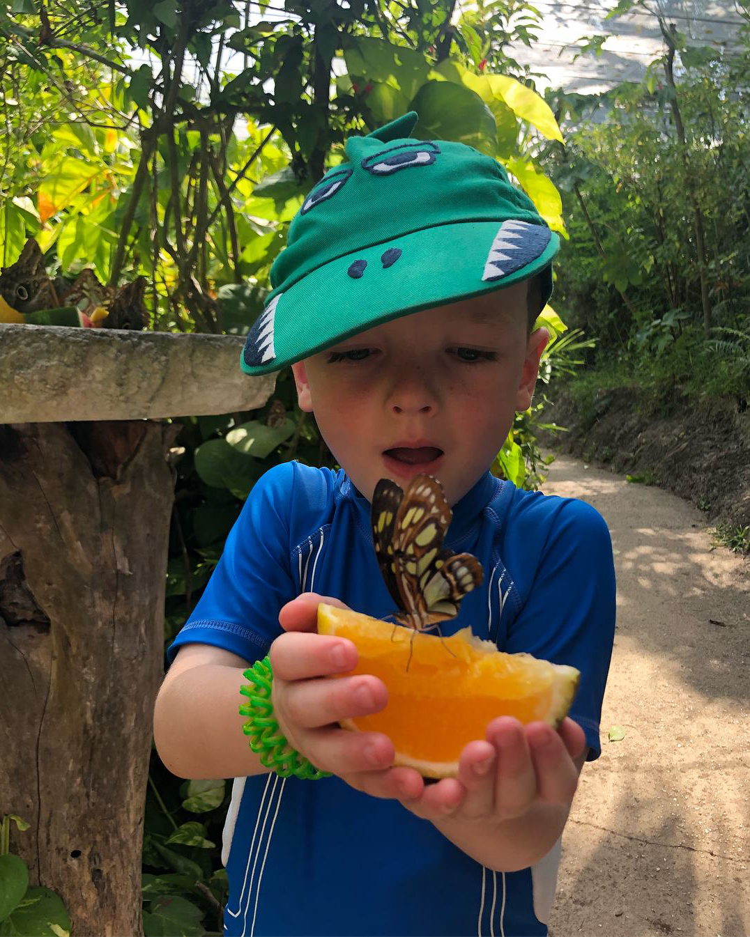 墨西哥旅游攻略亲子,墨西哥城适合孩子玩的地方