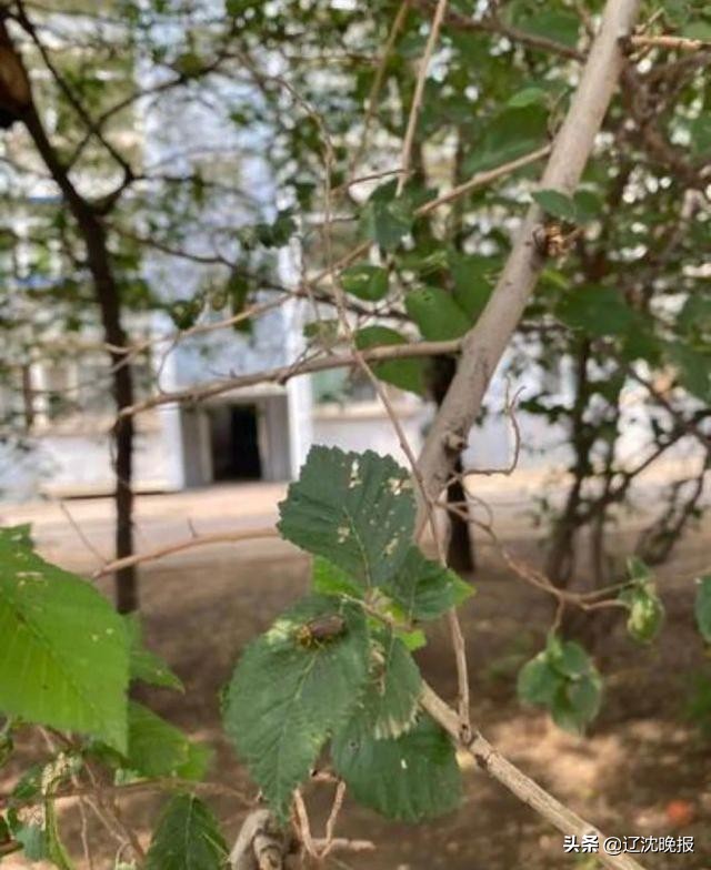 辽沈帮忙,帮帮在线支付后申请退费