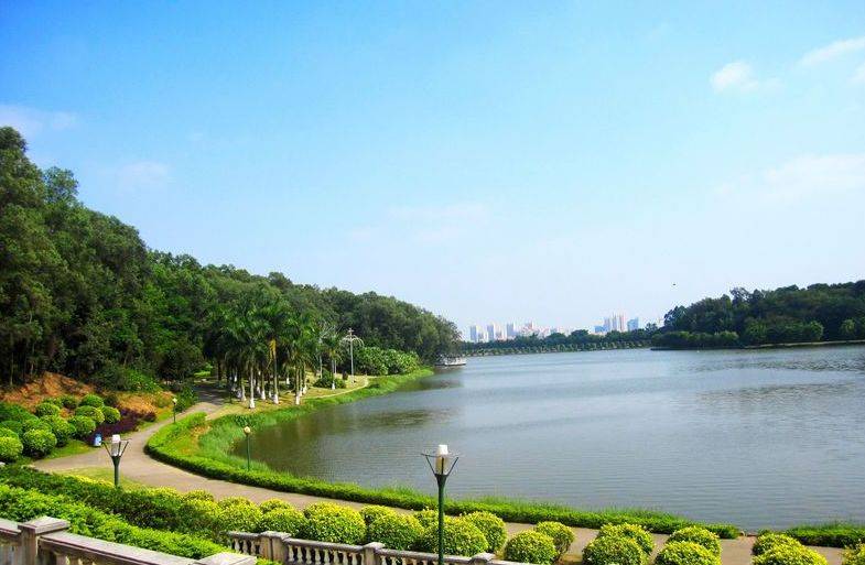 欧洲美食海鲜自助,嗨翻中山融合菜