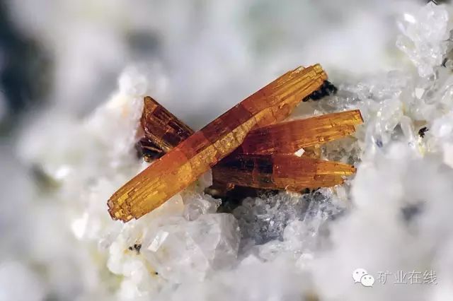 常见的矿物岩石有哪些,4种最常见于岩石里的矿物