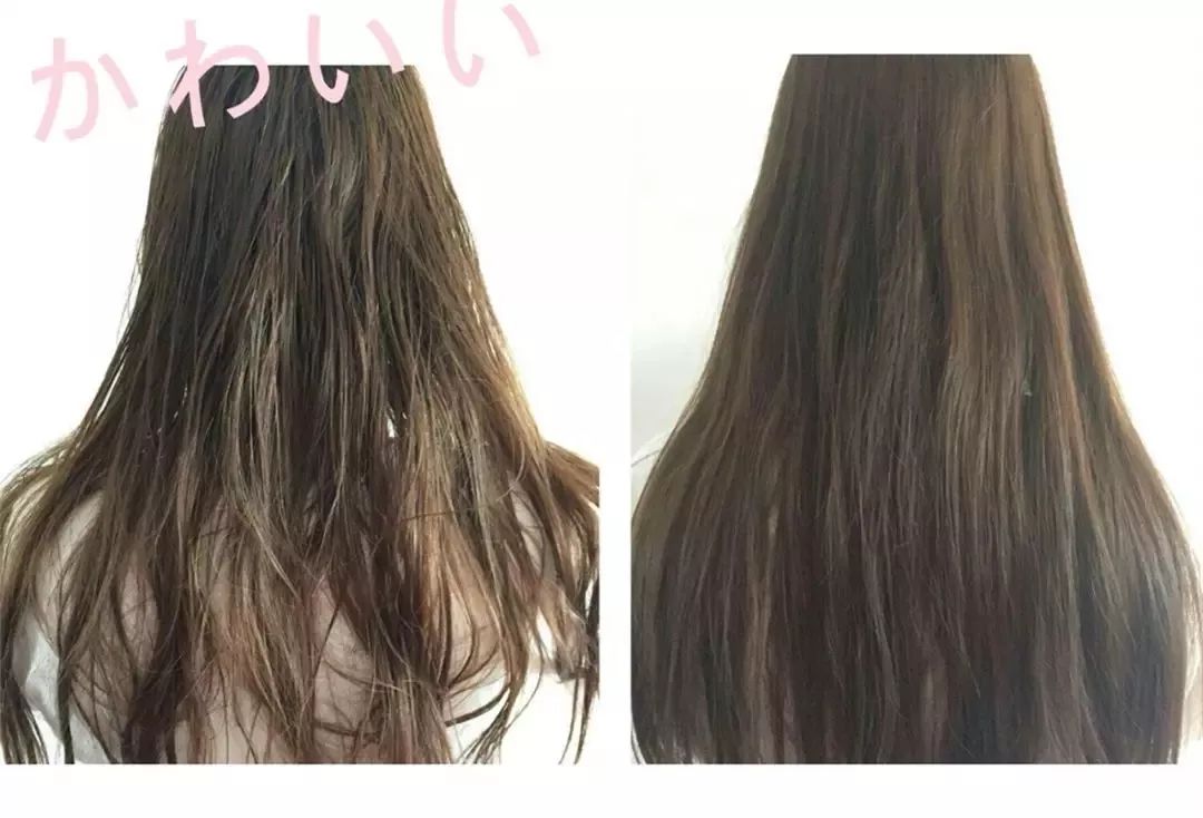 清爽头皮不掉发洗发露,秃头油腻头屑多洗发水推荐