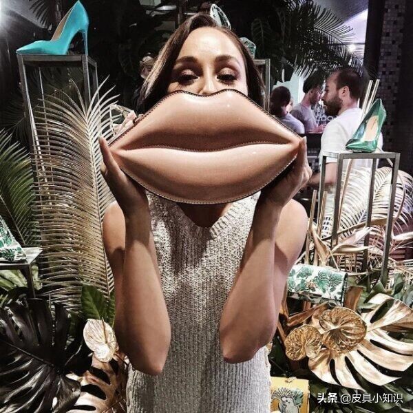 范冰冰最喜欢的包包是什么,十二款包包