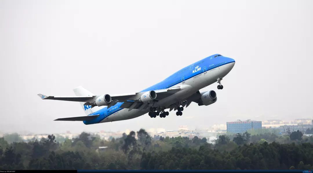 荷兰皇家航空世界最佳航空,荷兰皇家航空优缺点