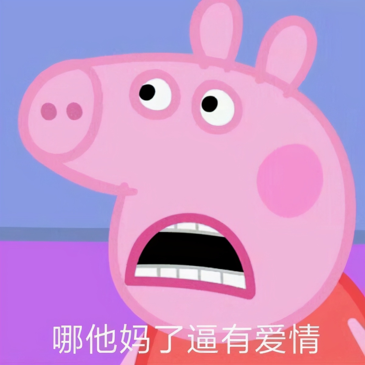 小猪佩奇斗图表情包大全,小猪佩奇表情包搞笑图