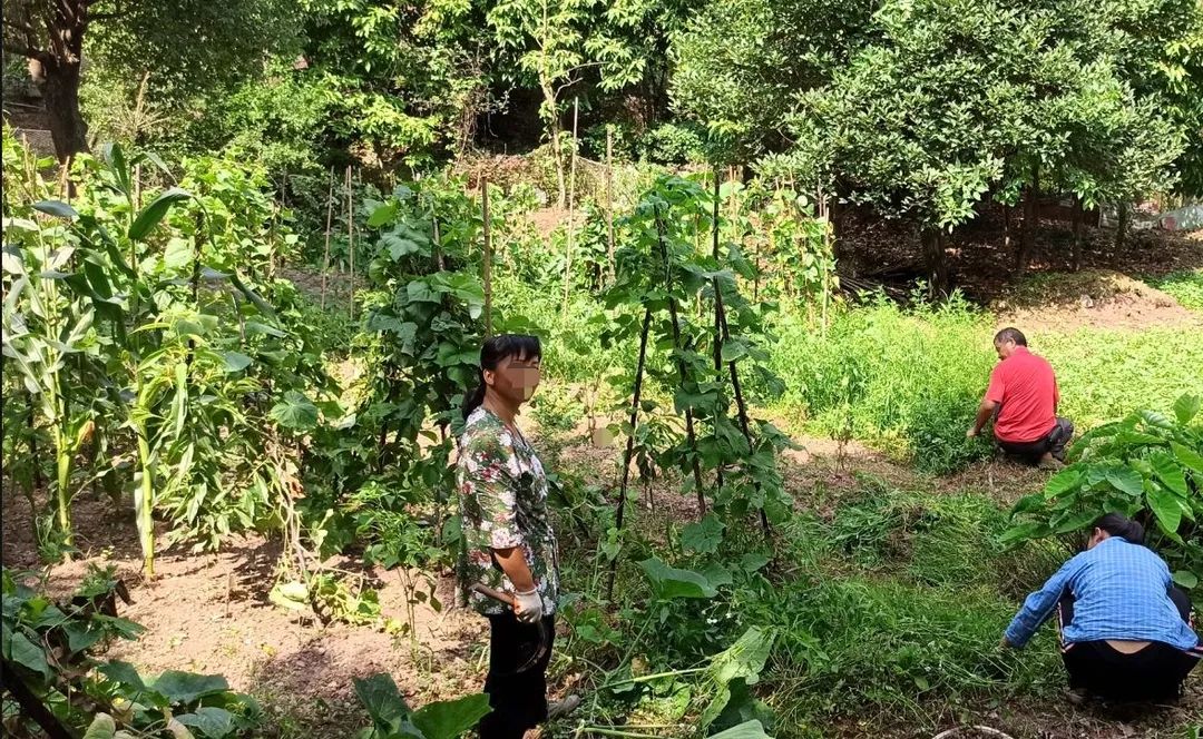 被56万压垮,重庆力帆帝国即将破产?昔日超级豪宅沦为鬼楼?